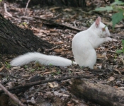 2016 06 11 WildLife MPLS 118